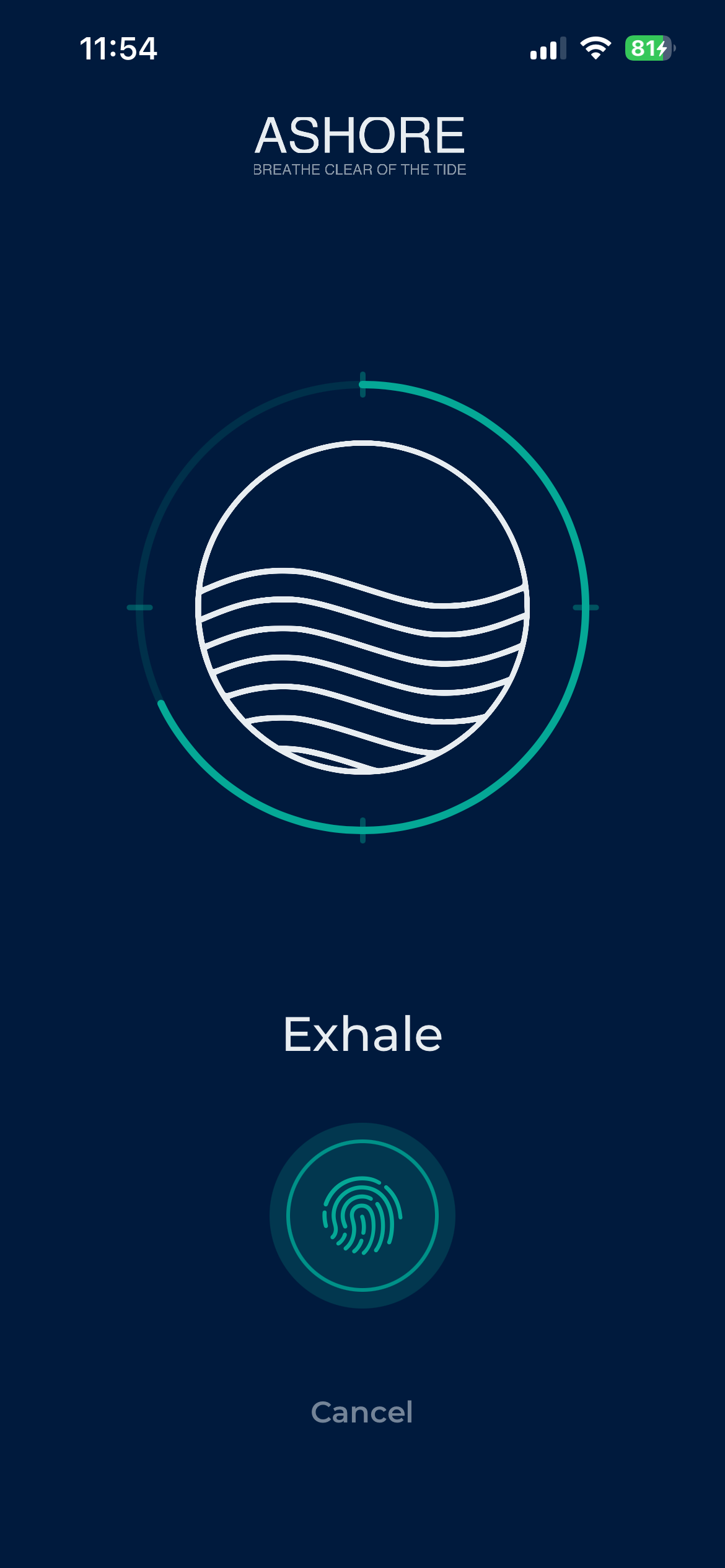Ashore Breathing Engine - The Friction