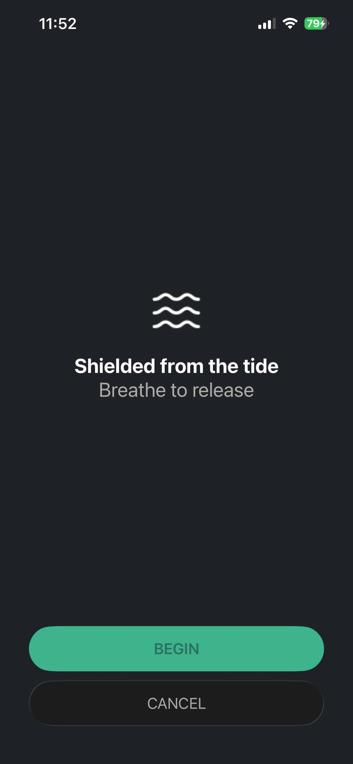 Ashore Shield Screen - The Interception